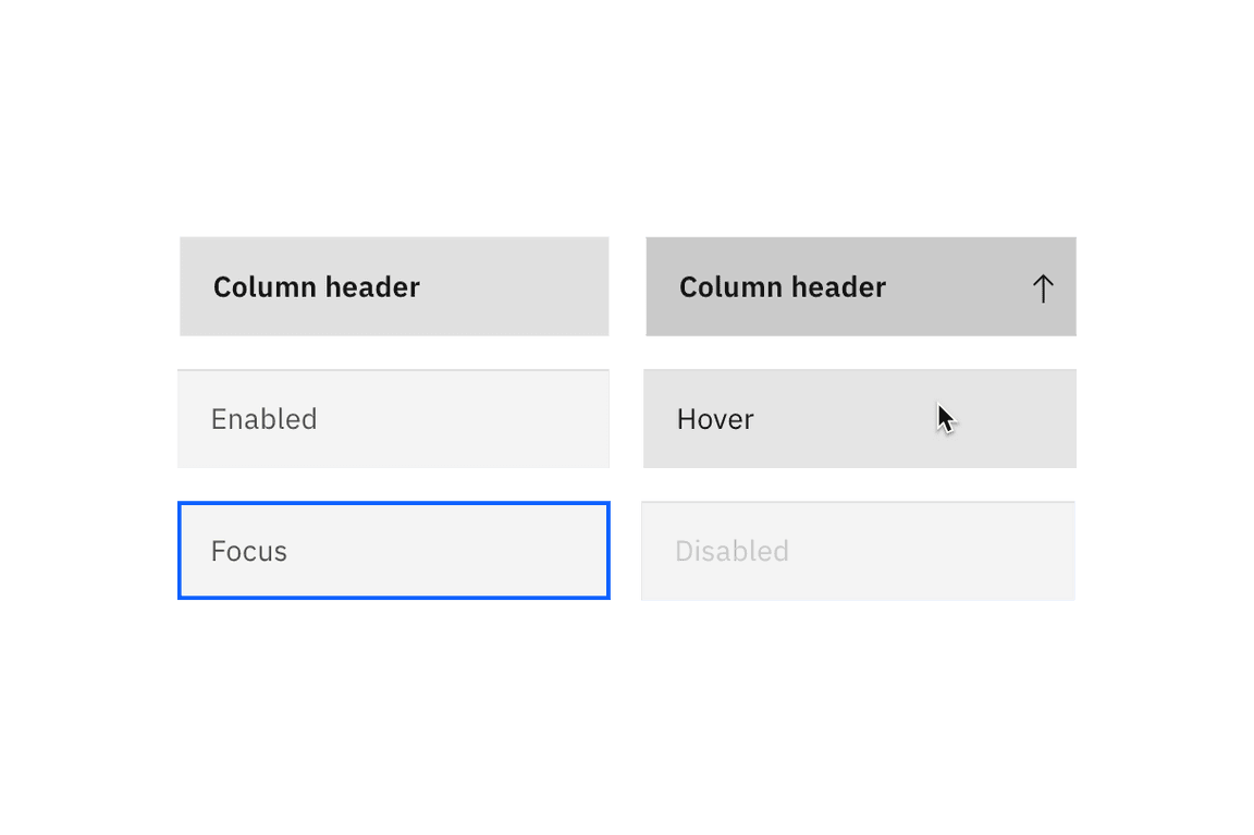 Data table rows